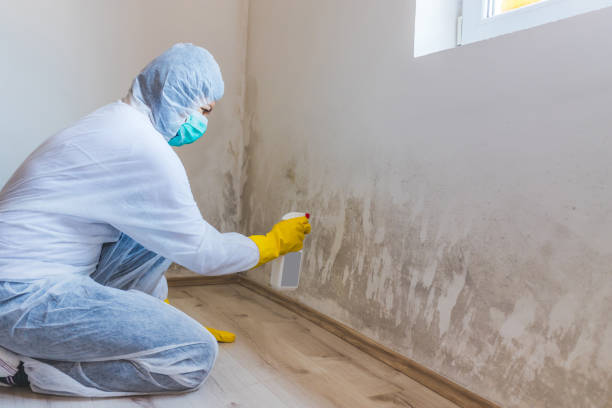 Commercial Mold Remediation assessment for commercial property in Carle Place